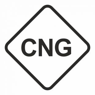 CNG - Gaz napędowy- sprężony gaz ziemny - znak stacje benzynowe - SB029