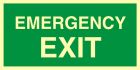 Emergency exit - znak ewakuacyjny - AC002