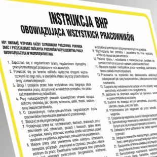 Instrukcja BHP w sprawie zasad płetwonurkowania - IAO61