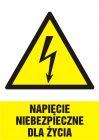 Napięcie niebezpieczne dla życia - znak elektryczny