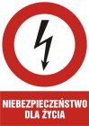 Niebezpieczeństwo dla życia - znak elektryczny