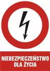 Niebezpieczeństwo dla życia - znak elektryczny