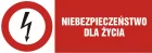 Niebezpieczeństwo dla życia - znak elektryczny