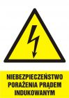 Niebezpieczeństwo porażenia prądem indukowanym - znak elektryczny