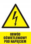 Obwód oświetleniowy pod napięciem - znak sieci elektrycznych - HA009