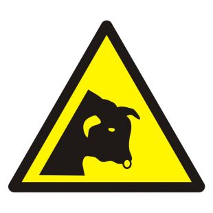 Ostrzeżenie przed bykiem - znak bhp ostrzegający - GDW034
