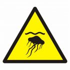 Ostrzeżenie przed meduzami - znak bhp ostrzegający