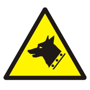 Ostrzeżenie przed złym psem - znak bhp ostrzegający - GDW013