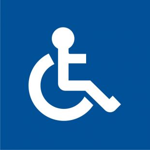 Oznakowanie aparatów publicznych przystosowanych do używania przez osoby niepełnosprawne - znak informacyjny - PA100