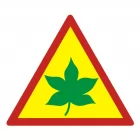 Początkujący kierowca - znak, naklejka samochodowa - SC009