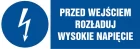 Przed wejściem rozładuj wysokie napięcie - znak elektryczny