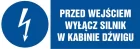 Przed wejściem wyłącz silnik w kabinie dźwigu - znak elektryczny