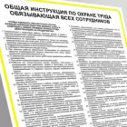 Rosyjska instrukcja ogólna BHP obowiązująca wszystkich pracowników-ОБЩАЯ ИНСТРУКЦИЯ ПО ОХРАНЕ ТРУДА ОБЯЗЫВАЮЩАЯ ВСЕХ СОТРУДНИКОВ