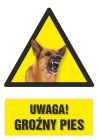 Uwaga! Groźny pies 1 - znak informacyjny - PC201
