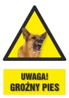 Uwaga! Groźny pies 1 - znak informacyjny - PC201