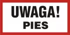Uwaga! Pies - znak informacyjny - PA041