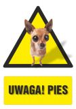 Uwaga! Pies - znak informacyjny - PC200 - Znaki realistyczne do oznakowania budynków i nie tylko
