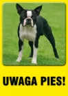 Uwaga pies! - znak informacyjny - PC202 - PC202 Uwaga pies! - znak informacyjny - PC202