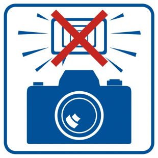 Zakaz fotografowania z użyciem lamp błyskowych - znak informacyjny - RA504
