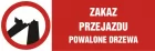 Zakaz przejazdu. Powalone drzewa - znak ostrzegający, informujący - NA060