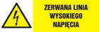 Zerwana linia wysokiego napięcia - znak ostrzegający, informujący - NA004