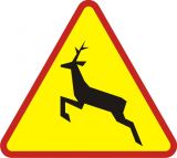 Znak A-18b Zwierzęta dzikie - drogowy ostrzegawczy - Zwierzęta na drodze – znaki ostrzegawcze i urządzenia BRD poprawiające bezpieczeństwo