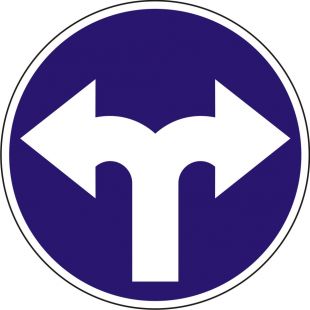 Znak C-8 Nakaz jazdy w prawo lub w lewo - drogowy nakazu