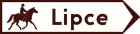Znak E-8-2 Drogowskaz do miejsca turystycznego - drogowy kierunku miejscowości